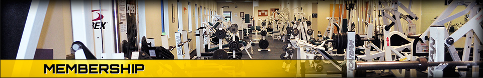 About Total Fitness Zone